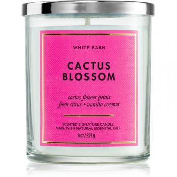Blooming Cactus Fragrance Candle – 227g
