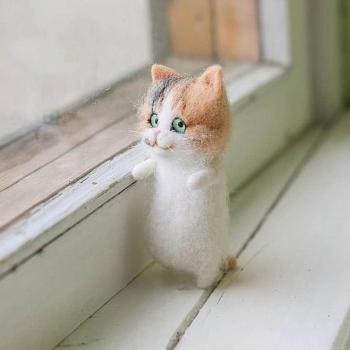 Kit de bricolage peluche chaton