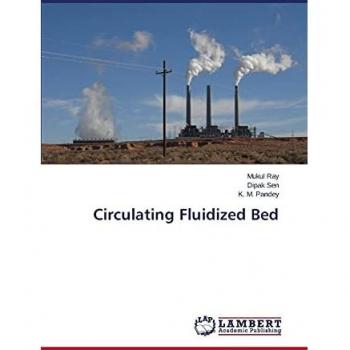 Circulating Fluidized Bed