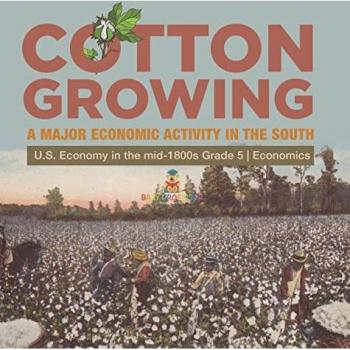 Biz Hub: Cotton Growing