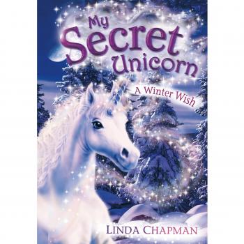 My Secret Unicorn: A Winter Wish by Linda Chapman (Paperback 2004) New Book