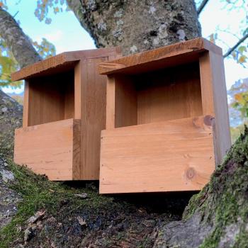 SELECTIONS Wooden Robin Birdhouse Garden Nest Boxes