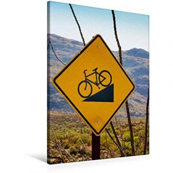 Hochformat Leinwanddruck Saguaro Nationalpark – 60 x 90 cm