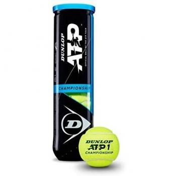 Dunlop Palla da Tennis Champions Series