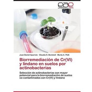 Biorremediación de Cr(VI) y lindano en suelos por actinobacterias: Selección de actinobacterias con mayor potencial para la biorremediación de suelos co-contaminados con Cr(VI) y lindano
