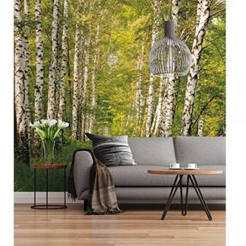 Komar Fototapete Fototapete, Birkenwald, bedruckt, 368 x 254 cm