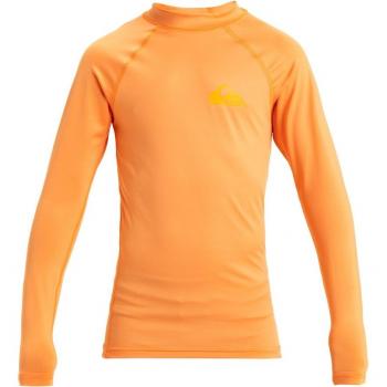Maglia Quiksilver Everyday manica lunga arancione per bambini