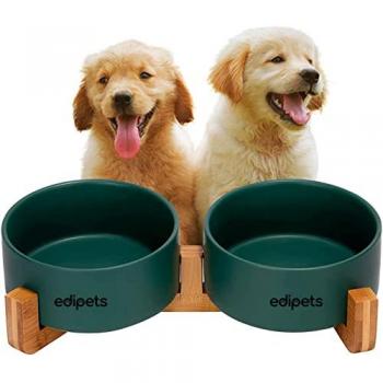 Comedero doble de cerámica para perros y gatos con base antideslizante de bambú Edipets