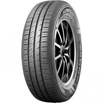 EcoWing ES31