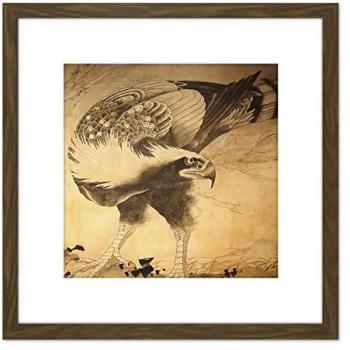 Shohaku Hawk: 8×8 Japanese Wood-Frame Wall Art with Mount