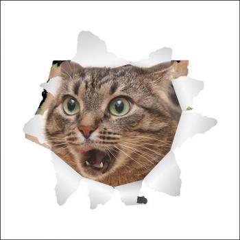 Vivid Cat Toilet Wall Sticker
