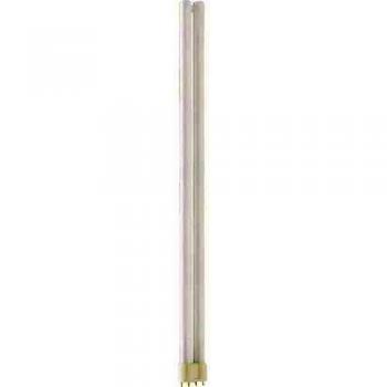 Philips PL-L Lampadina a Luce Bianca Calda