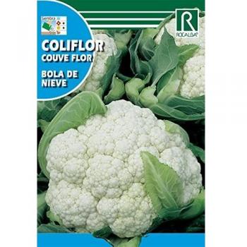 Caciflor 3G Snow Ball (10b) – Rocalba