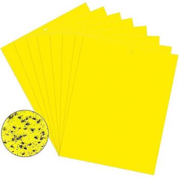 Piège collant pour insectes nuisibles 20-pack