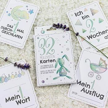 Skorpion‑Baby‑Meilensteinkarten – 32‑Stück-Set für Jungen