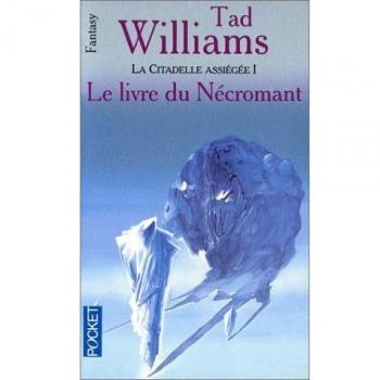 L'Arcane des épées, tome 3 : La citatadelle assiégée, volume 1