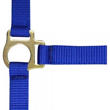 Tienda Equina: Collares y Cuerdas para Potros – Azul Royal