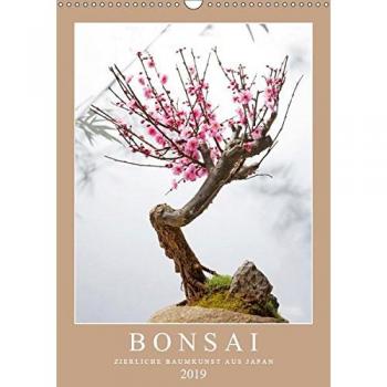 Bonsai: Zierliche Baumkunst aus Japan