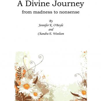 A Divine Journey: from madness to nonsense