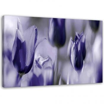 Lale Violetti su Canvas Feeby 60x40