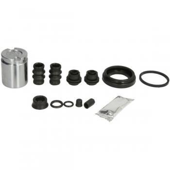 Conjunto de Pinças de Travão AUTOFREN SEINSA D43258K