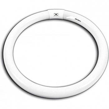 TUBO FLUORESCENTE CIRCOLARE 32W/865 G10Q LUCE FREDDA