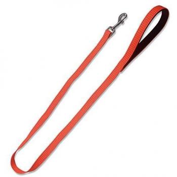 Correa resistente de nylon para perros naranja 2,5 x 120 cm