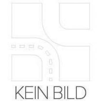 Plaque licence LED HELLA 2KA 340 118‑001