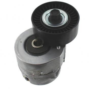 Tensores de correa multi-V SKF VKM 34012
