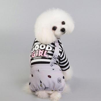 Spring Puppy Outfit Stripes for Yorkshire and Chihuahua