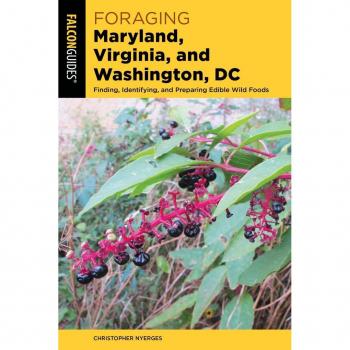 Vitalsource Technologies, Inc. Foraging Maryland, Virginia, And Washington, Dc