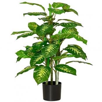 Evergreen Tree