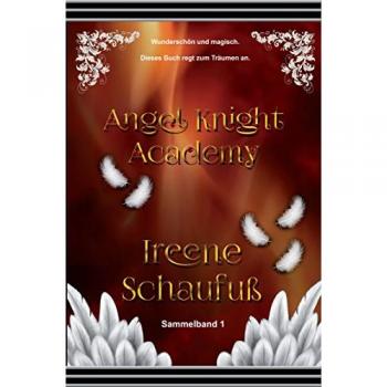 Angel Knight Academy 1