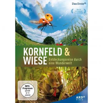 Kornfeld & Wiese