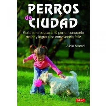 Perro de ciudad