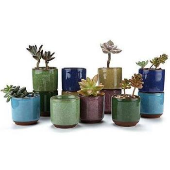 Macetas de Porcelana T4U para Cactus y Suculentas