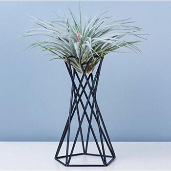 Étagère de plantes suspendues, structure métallique élégante