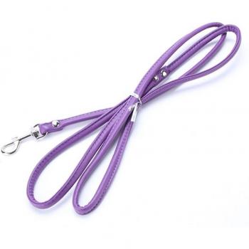 Dog Walker Leash