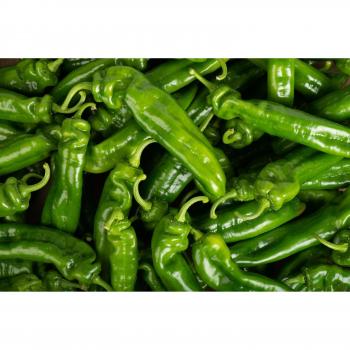 Poivron Corne de Bœuf 50 G – Potager Durable