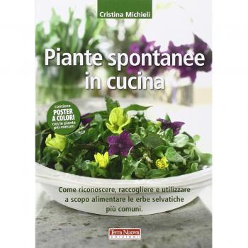 Piante spontanee in cucina. Come riconoscere, raccogliere e utilizzare a scopo alimentare le erbe selvatiche più comuni. Ediz. illustrata