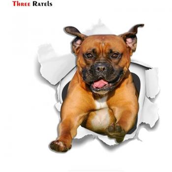 Pegatinas decorativas 3D de Terrier para pared, nevera, inodoro, coche y bicicleta