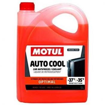 MOTUL Anticongelante Concentrado -37 °C