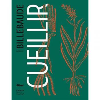 Billebaude