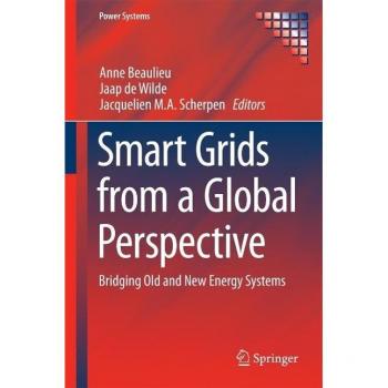 Smart Grids from a Global Perspective