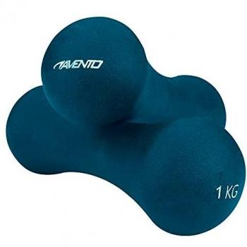 Avento 1kg Blue Weights (2 Pack)