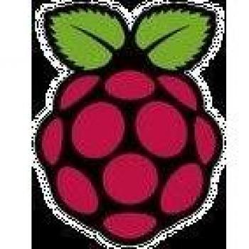 Raspberry Pi Offizielles Netzteil 2,5A Schwarz (T6143DV)