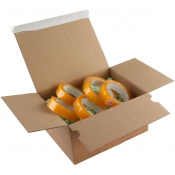 Blake Purely Packaging One-Touch Postal Box 310 x 230 x 81-160 mm Peel & Seal Tamper Evident Plastic Free Brown Kraft
