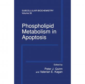 Phospholipid Metabolism in Apoptosis