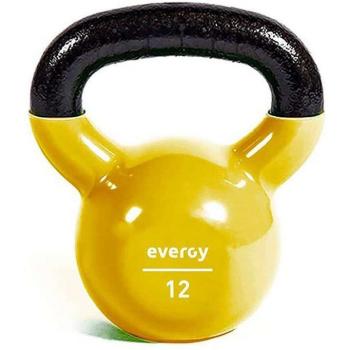 Evergy Kettlebell Studio Home 12 Kg