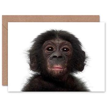 Adorable Chimpanzee Memory Card